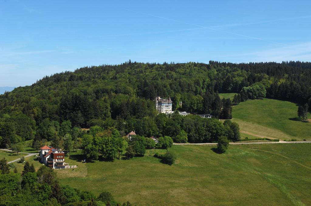 Chateau Des Avenieres Cruseilles Eksteriør billede